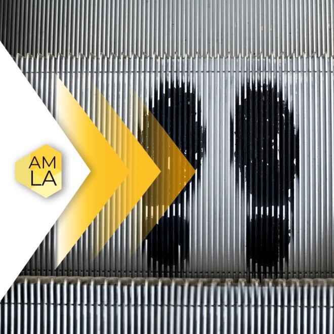 Personal Branding 101 AMLA