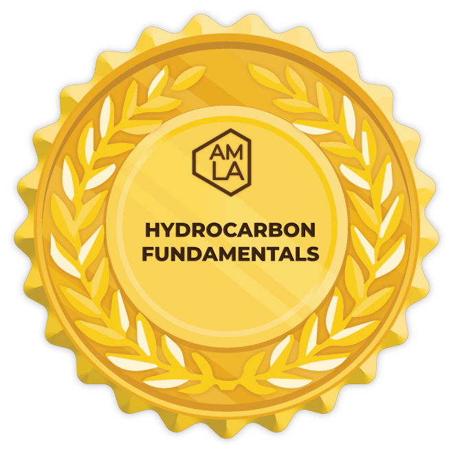 Hydrocarbon Fundamentals Badge