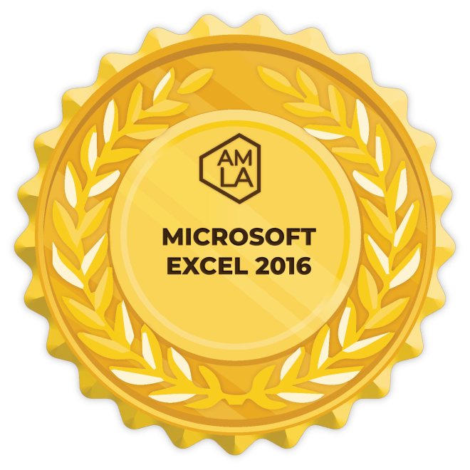 Microsoft Excel 2016 Badge